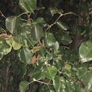 Meet your Posher, Jake